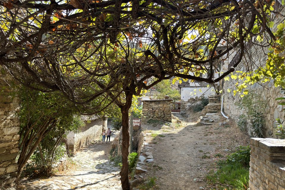 PRIVATE TOUR: Wine Tasting with Snacks and Ephesus Ancient City!